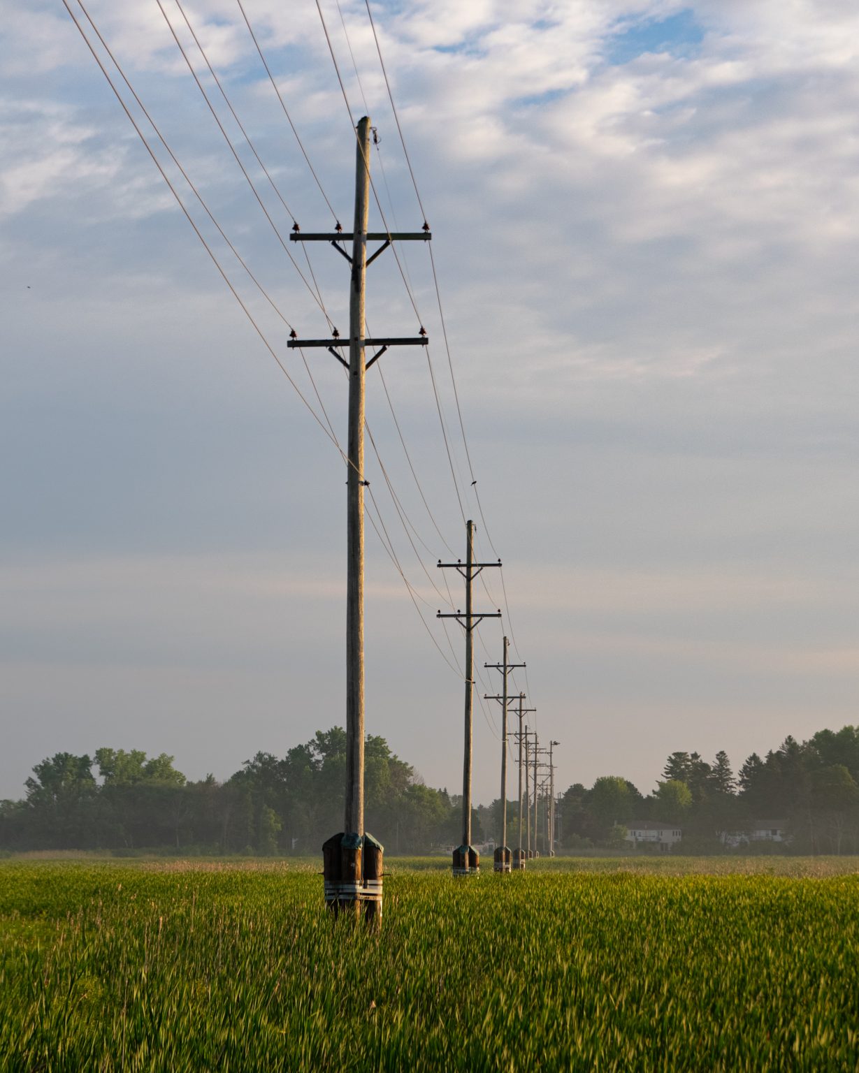 Power Lines