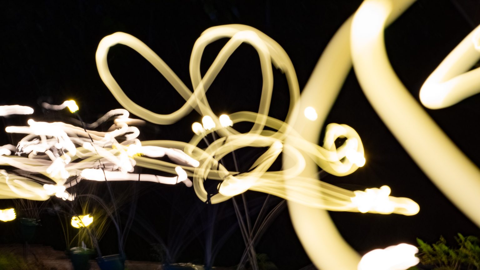 Lights