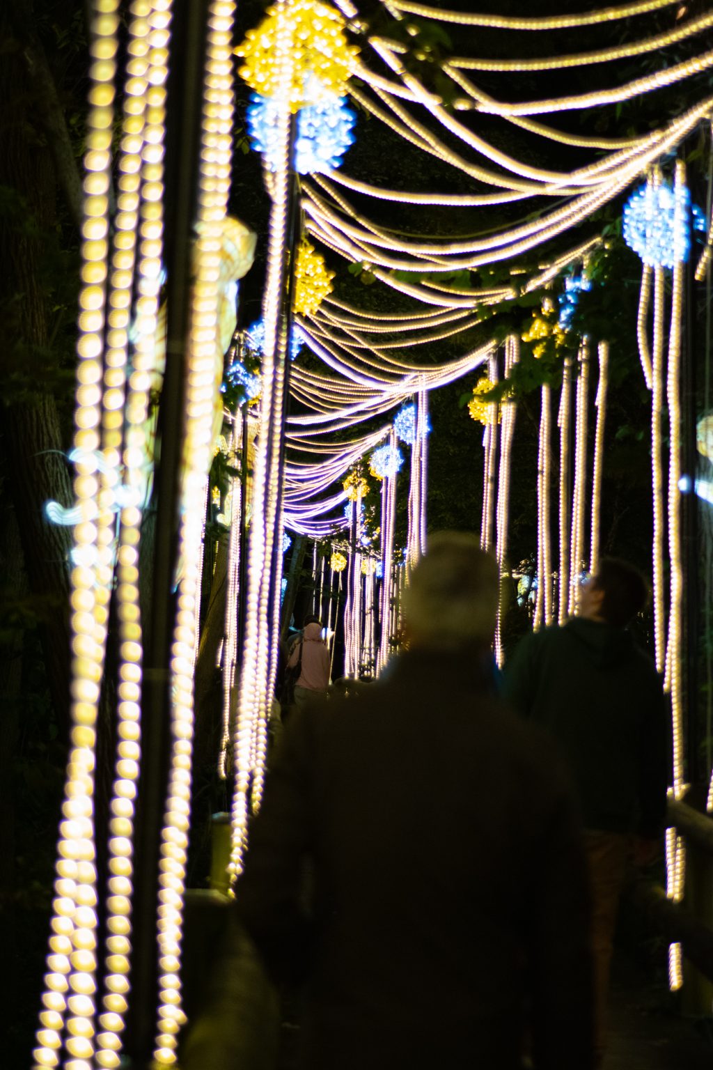 Lit Path